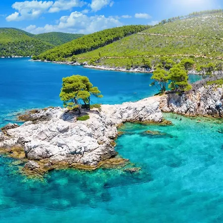 Naiades Superior Apartments In Skopelos With Sea View Close To The Town Exteriér fotografie